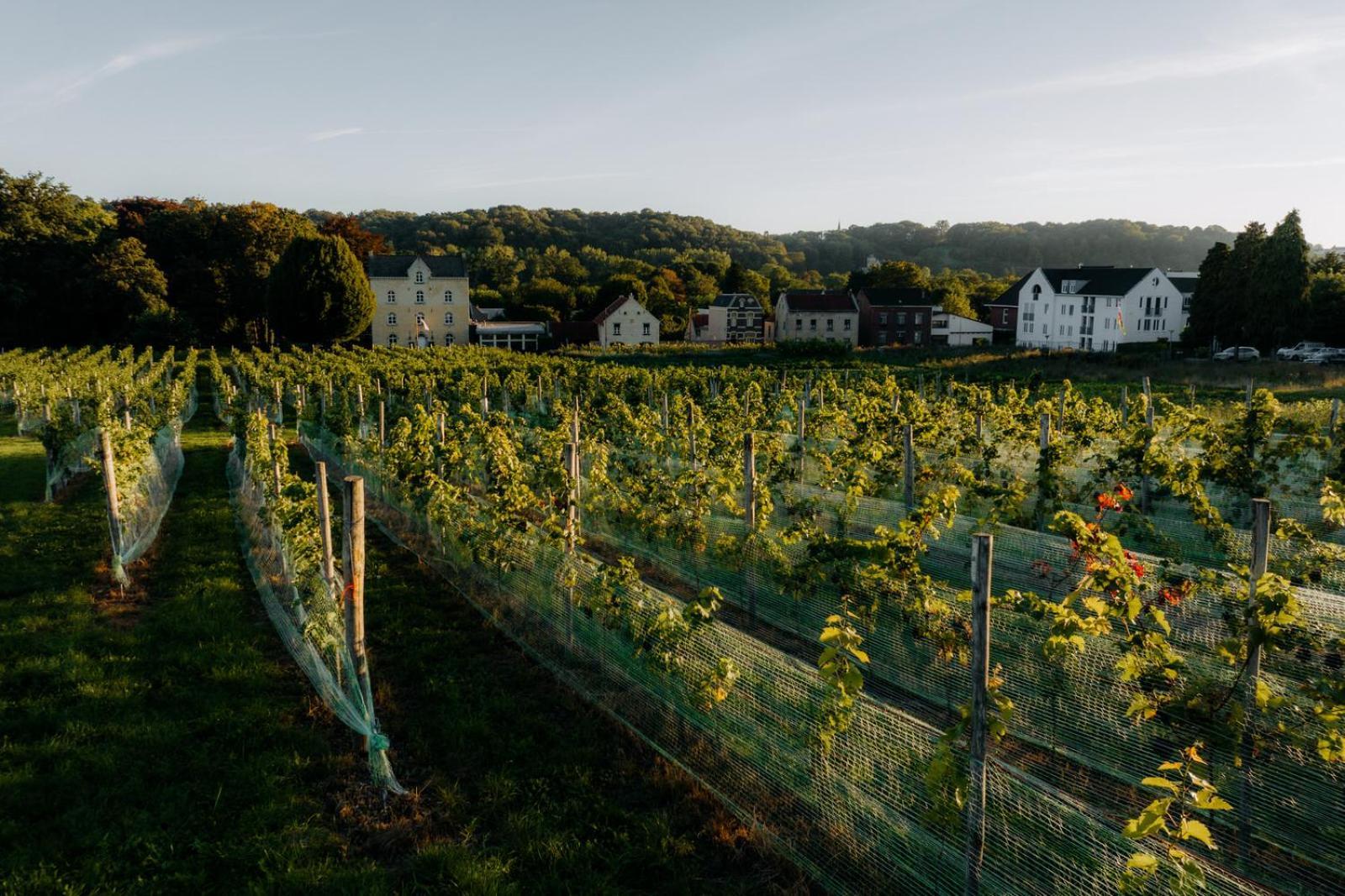 Chateau St Gerlach - Oostwegel Collection, Member Of Relais And Chateaux Valkenburg aan de Geul Exterior photo